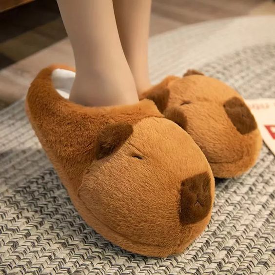 Capybara Slippers