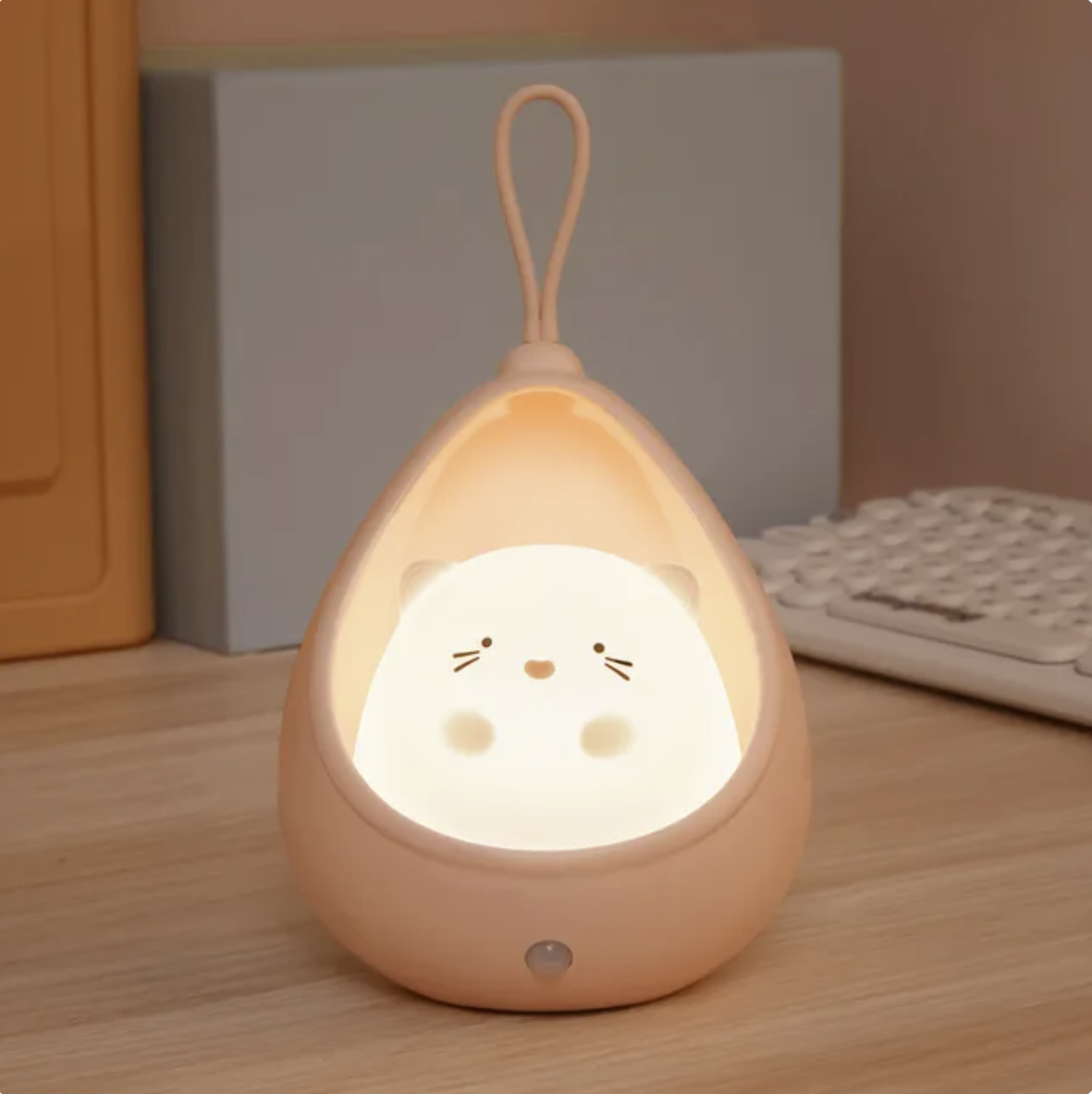 Motion Sensing Night Light