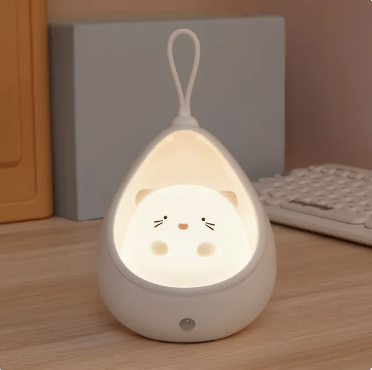 Motion Sensing Night Light