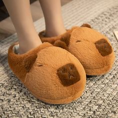 Capybara Slippers