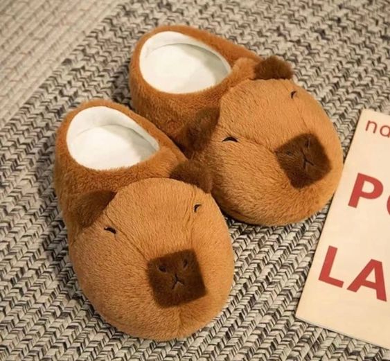 Capybara Slippers